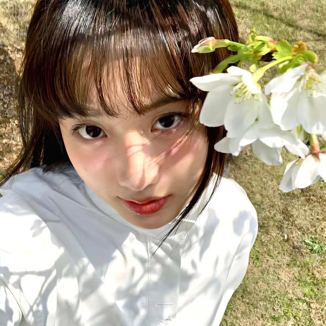 蔷薇少女